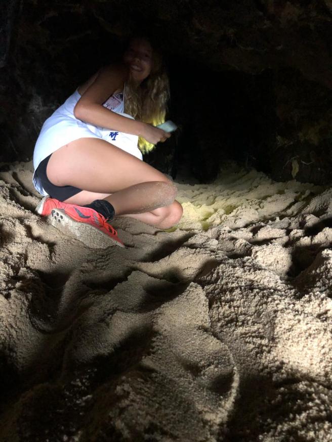 62754a9e-4ed6-4337-96d5-930e54a104df