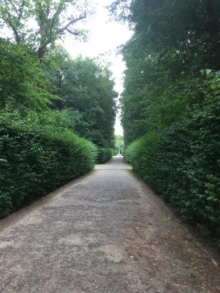 PHOTO-2020-04-08-11-11-11