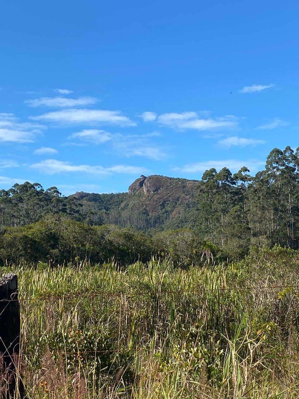 741acbfe-326f-4d58-a74a-38ae63a17e59